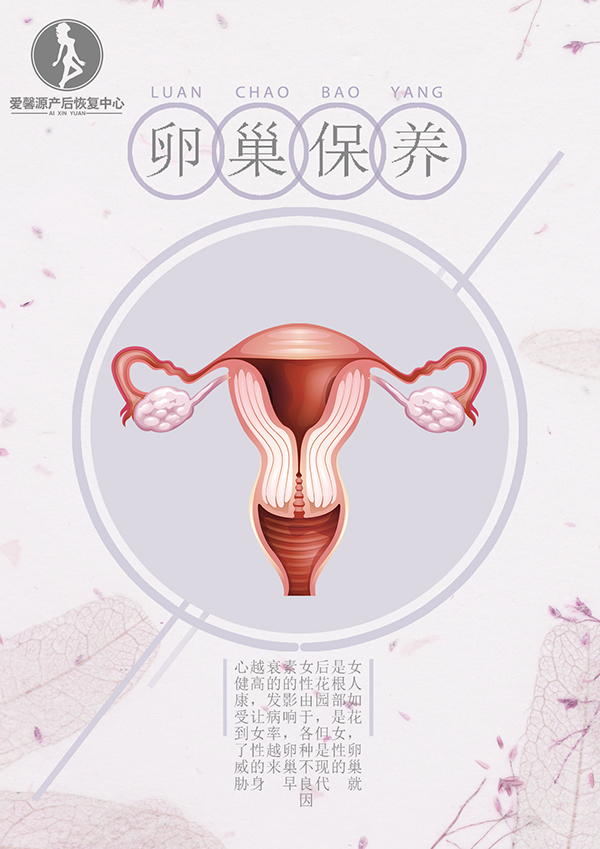 卵巢保养600.jpg